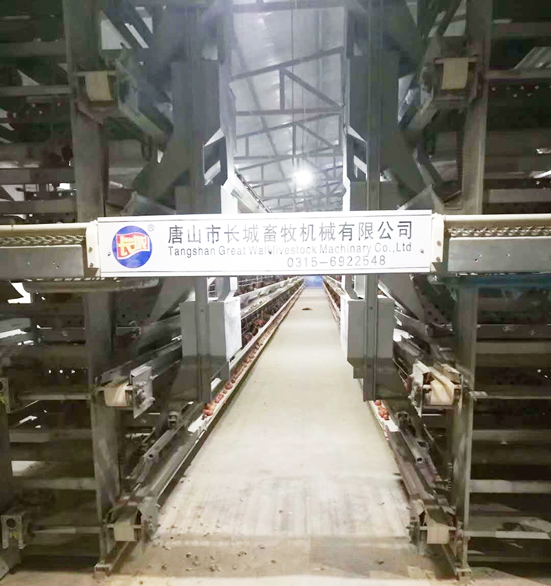 若是您想用自动化装备养蛋鸡，，，哪些蛋鸡装备是必不可少的？？？？